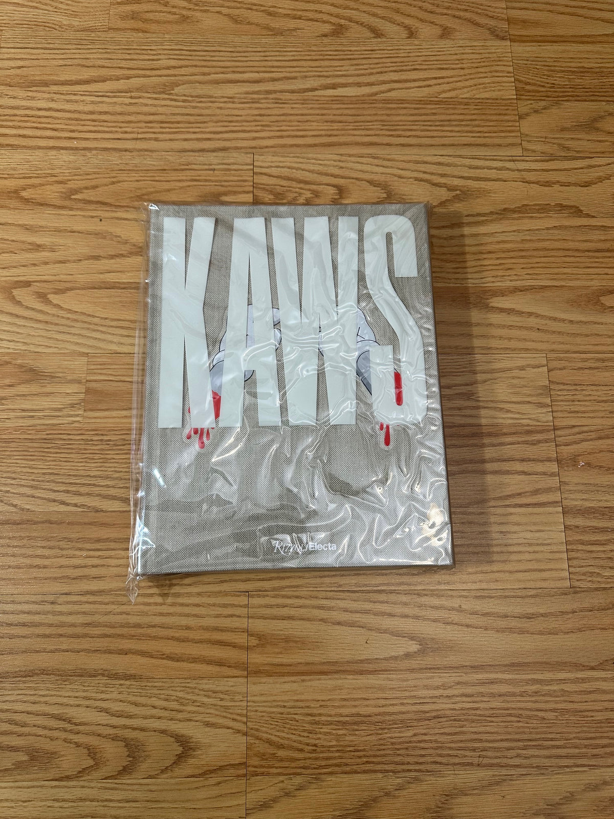 Kaws Rizzoli