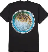 Supreme Blowfish Tee